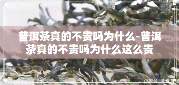 普洱茶真的不贵吗为什么-普洱茶真的不贵吗为什么这么贵