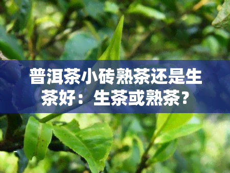 普洱茶小砖熟茶还是生茶好：生茶或熟茶？