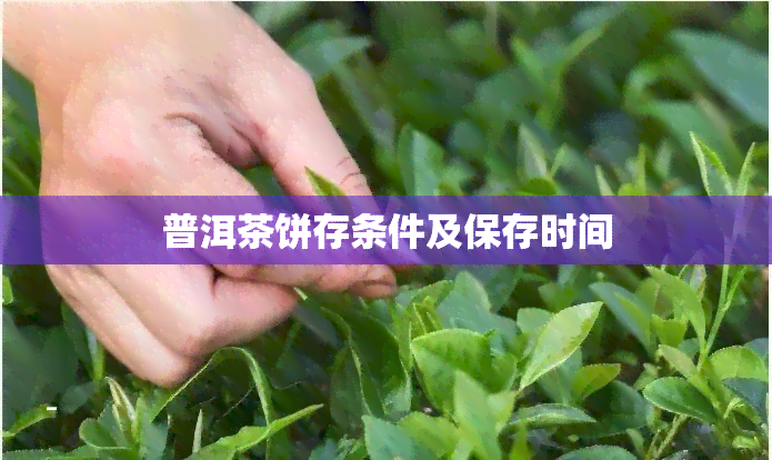 普洱茶饼存条件及保存时间