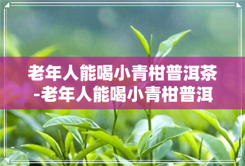 老年人能喝小青柑普洱茶-老年人能喝小青柑普洱茶吗