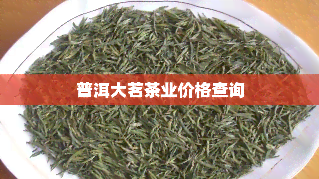 普洱大茗茶业价格查询