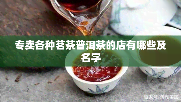 专卖各种茗茶普洱茶的店有哪些及名字