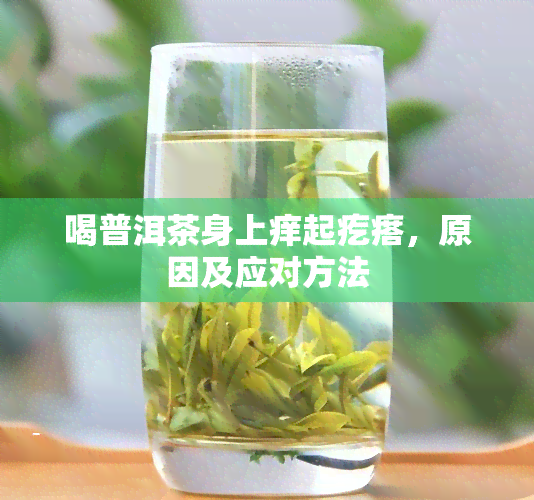 喝普洱茶身上痒起疙瘩，原因及应对方法