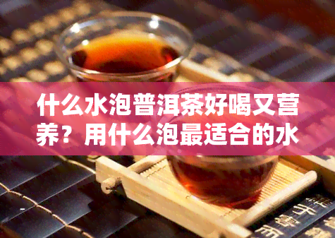 什么水泡普洱茶好喝又营养？用什么泡最适合的水？