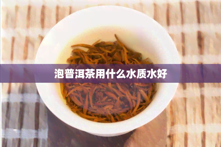 泡普洱茶用什么水质水好