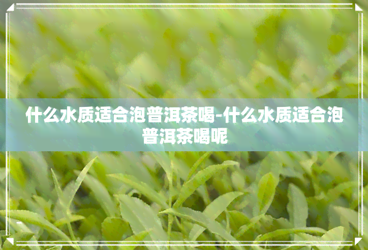 什么水质适合泡普洱茶喝-什么水质适合泡普洱茶喝呢