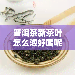 普洱茶新茶叶怎么泡好喝呢及保存方法