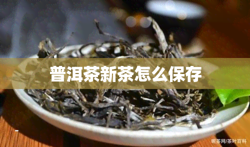 普洱茶新茶怎么保存