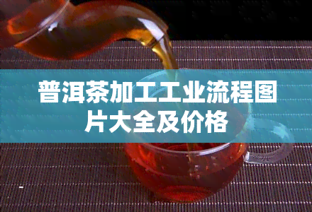 普洱茶加工工业流程图片大全及价格