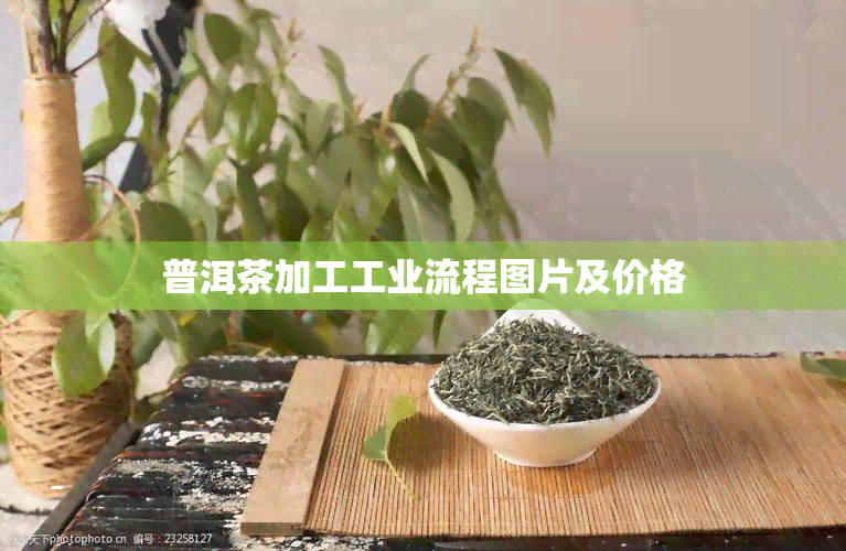 普洱茶加工工业流程图片及价格