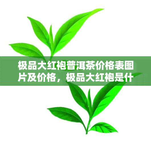 极品大红袍普洱茶价格表图片及价格，极品大红袍是什么茶