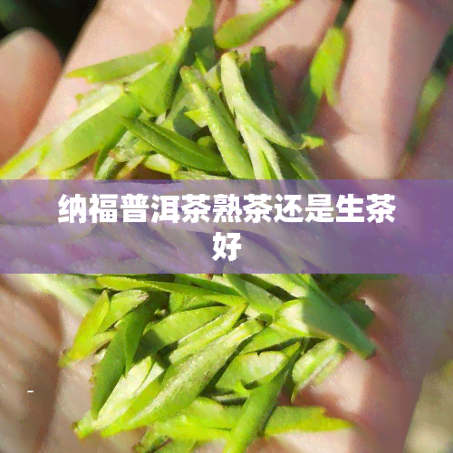 纳福普洱茶熟茶还是生茶好