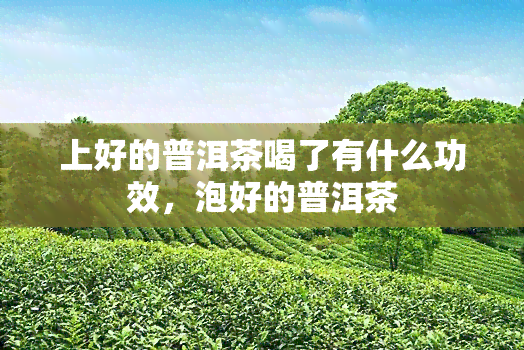 上好的普洱茶喝了有什么功效，泡好的普洱茶