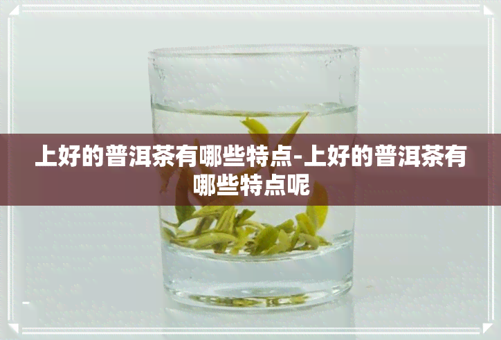 上好的普洱茶有哪些特点-上好的普洱茶有哪些特点呢