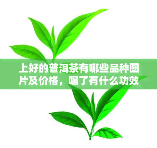 上好的普洱茶有哪些品种图片及价格，喝了有什么功效？