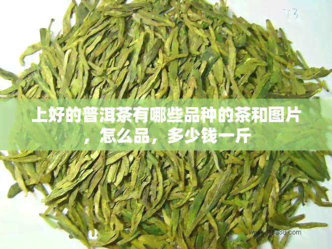 上好的普洱茶有哪些品种的茶和图片，怎么品，多少钱一斤