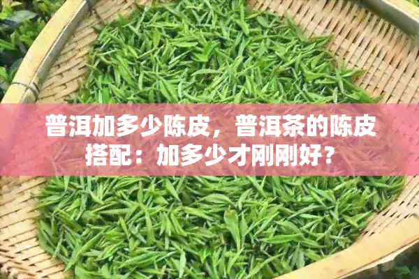 普洱加多少陈皮，普洱茶的陈皮搭配：加多少才刚刚好？