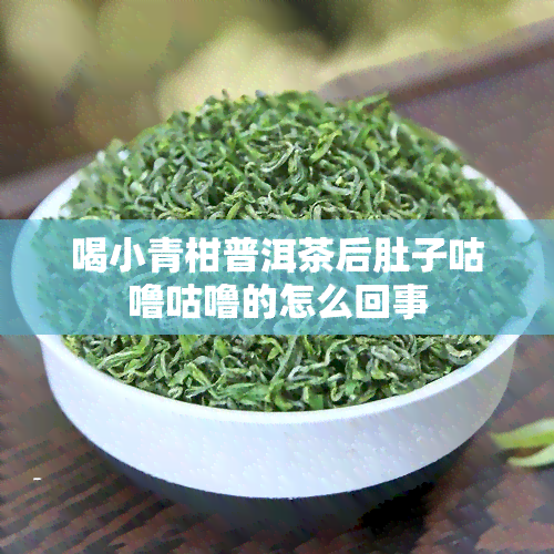 喝小青柑普洱茶后肚子咕噜咕噜的怎么回事