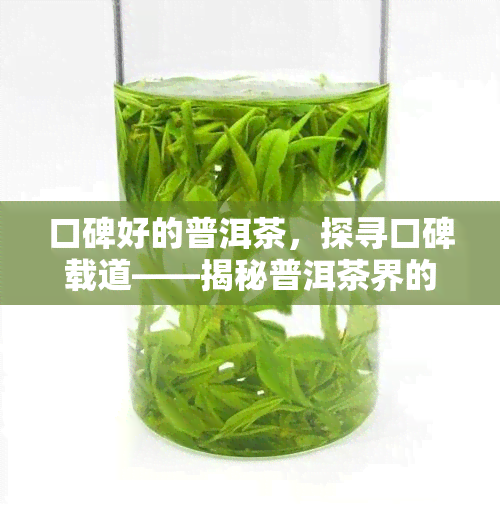 口碑好的普洱茶，探寻口碑载道——揭秘普洱茶界的热门