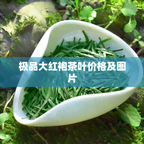 极品大红袍茶叶价格及图片