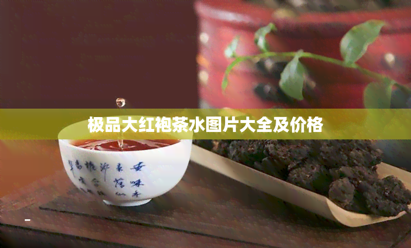 极品大红袍茶水图片大全及价格