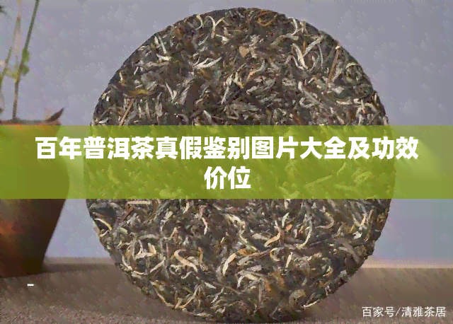 百年普洱茶真假鉴别图片大全及功效价位