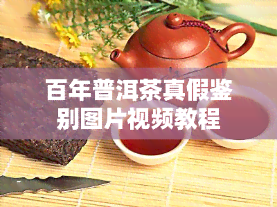 百年普洱茶真假鉴别图片视频教程