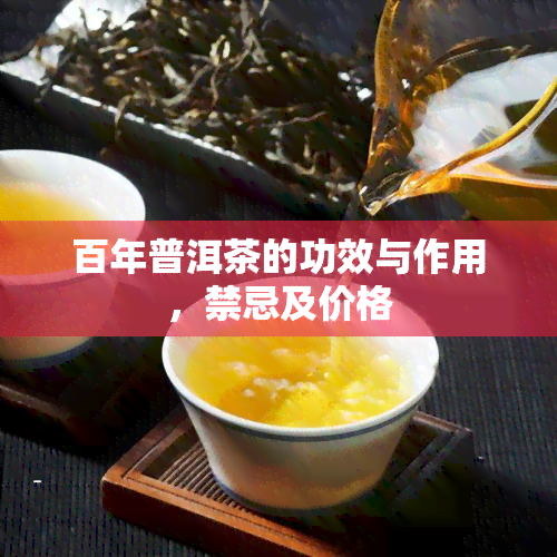 百年普洱茶的功效与作用，禁忌及价格