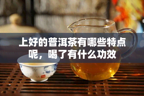 上好的普洱茶有哪些特点呢，喝了有什么功效