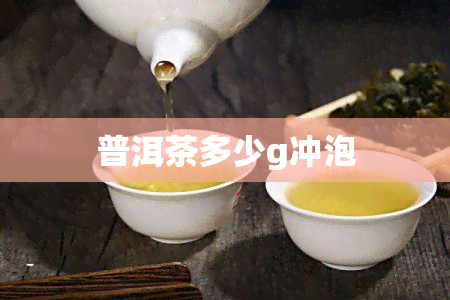 普洱茶多少g冲泡