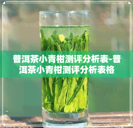 普洱茶小青柑测评分析表-普洱茶小青柑测评分析表格