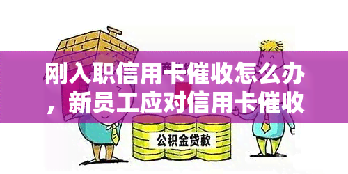 刚入职信用卡怎么办，新员工应对信用卡的应对策略：入职初期应该如何处理？