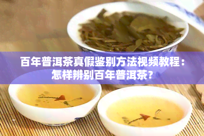 百年普洱茶真假鉴别方法视频教程：怎样辨别百年普洱茶？