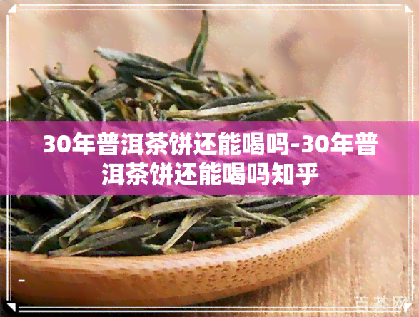 30年普洱茶饼还能喝吗-30年普洱茶饼还能喝吗知乎