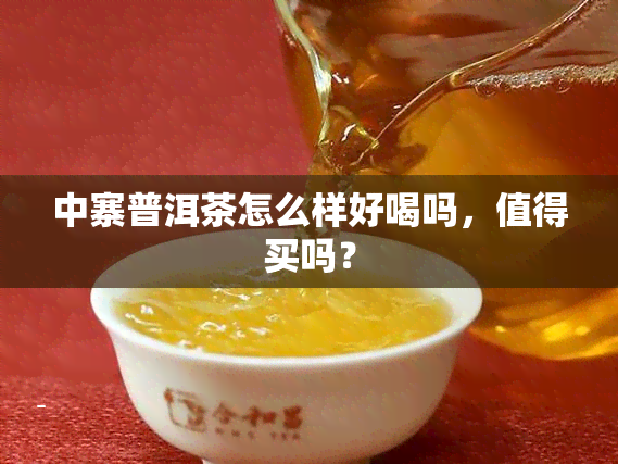 中寨普洱茶怎么样好喝吗，值得买吗？