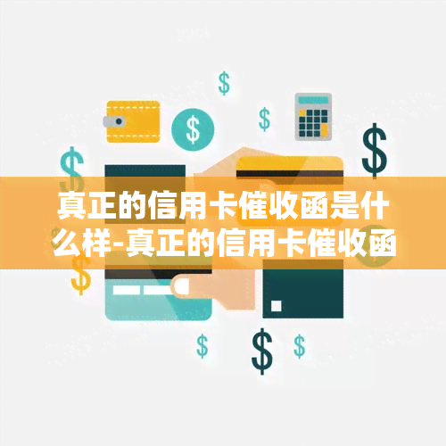 真正的信用卡函是什么样-真正的信用卡函是什么样的