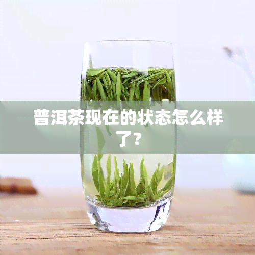 普洱茶现在的状态怎么样了？