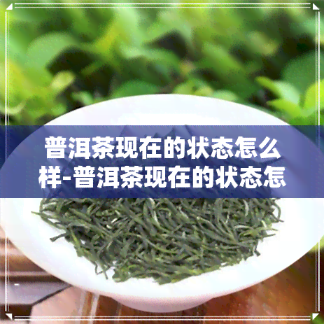 普洱茶现在的状态怎么样-普洱茶现在的状态怎么样了