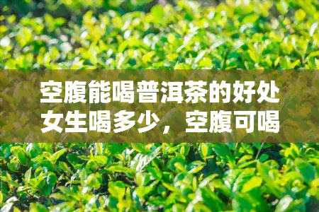 空腹能喝普洱茶的好处女生喝多少，空腹可喝普洱茶吗