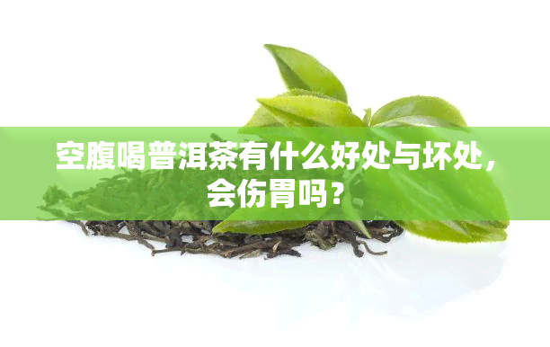 空腹喝普洱茶有什么好处与坏处，会伤胃吗？