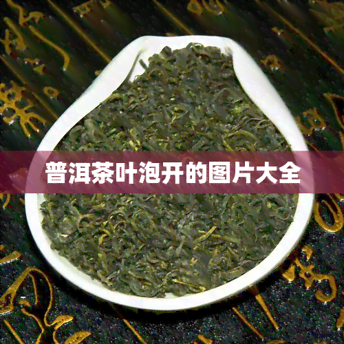 普洱茶叶泡开的图片大全