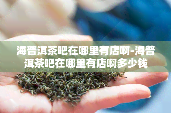 海普洱茶吧在哪里有店啊-海普洱茶吧在哪里有店啊多少钱