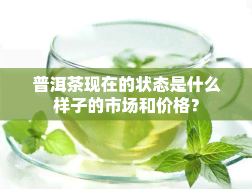 普洱茶现在的状态是什么样子的市场和价格？