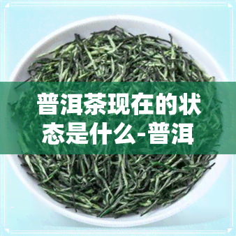 普洱茶现在的状态是什么-普洱茶现在的状态是什么样的