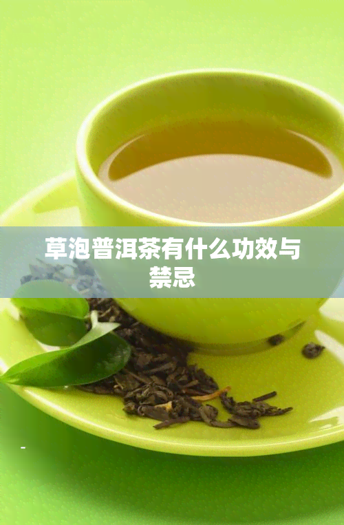 草泡普洱茶有什么功效与禁忌