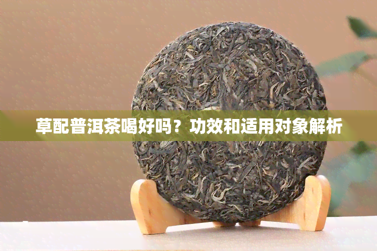 草配普洱茶喝好吗？功效和适用对象解析