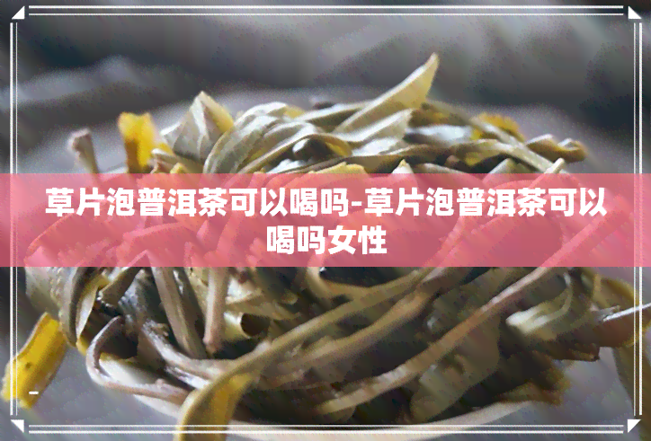 草片泡普洱茶可以喝吗-草片泡普洱茶可以喝吗女性