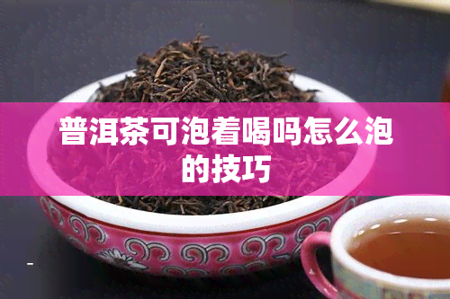 普洱茶可泡着喝吗怎么泡的技巧