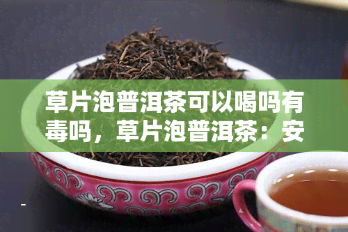 草片泡普洱茶可以喝吗有吗，草片泡普洱茶：安全饮用还是潜在风险？解析性及注意事项