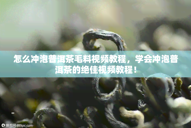 怎么冲泡普洱茶毛料视频教程，学会冲泡普洱茶的绝佳视频教程！